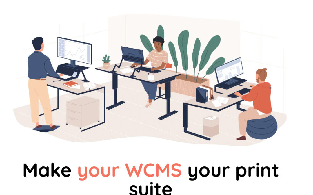 ppi Media named a WordPress VIP Partner with Solution “tohoop”