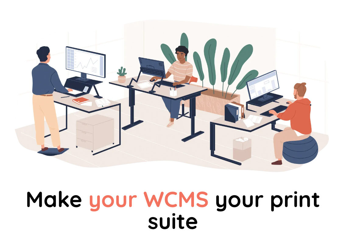 ppi Media named a WordPress VIP Partner with Solution “tohoop”