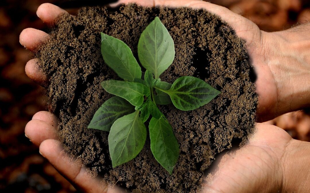 Our path to greater sustainability