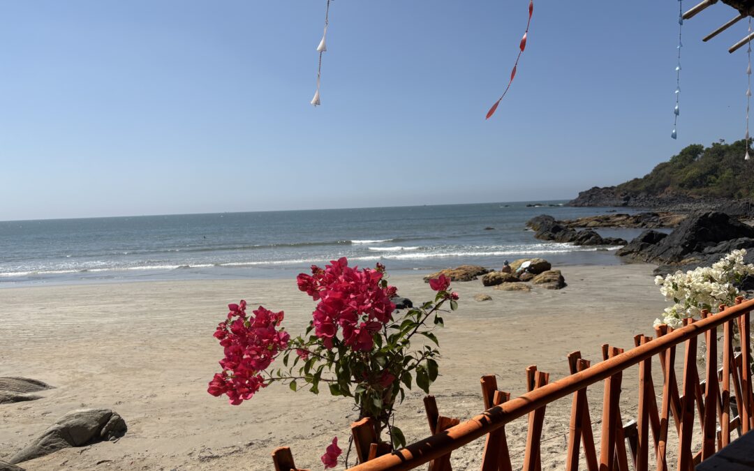 Goa – Indiens tropisches Paradies